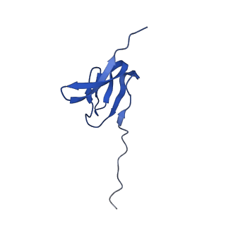 37563_8wic_Z_v1-0
Cryo- EM structure of Mycobacterium smegmatis 50S ribosomal subunit (body 1) of 70S ribosome, E- tRNA and RafH.