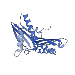 37564_8wid_d_v1-0
Cryo- EM structure of Mycobacterium smegmatis 30S ribosomal subunit (body 2) of 70S ribosome, E- tRNA and RafH.