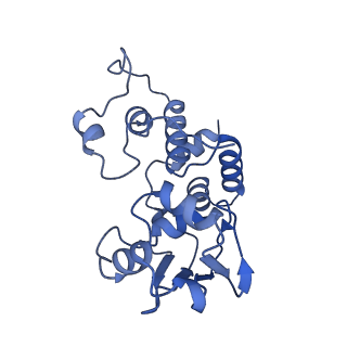 37564_8wid_e_v1-0
Cryo- EM structure of Mycobacterium smegmatis 30S ribosomal subunit (body 2) of 70S ribosome, E- tRNA and RafH.