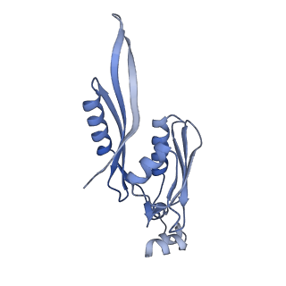 37564_8wid_f_v1-0
Cryo- EM structure of Mycobacterium smegmatis 30S ribosomal subunit (body 2) of 70S ribosome, E- tRNA and RafH.