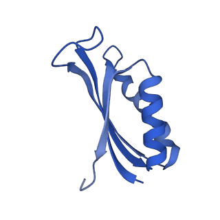 37564_8wid_g_v1-0
Cryo- EM structure of Mycobacterium smegmatis 30S ribosomal subunit (body 2) of 70S ribosome, E- tRNA and RafH.