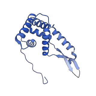 37564_8wid_h_v1-0
Cryo- EM structure of Mycobacterium smegmatis 30S ribosomal subunit (body 2) of 70S ribosome, E- tRNA and RafH.