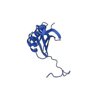 37564_8wid_l_v1-0
Cryo- EM structure of Mycobacterium smegmatis 30S ribosomal subunit (body 2) of 70S ribosome, E- tRNA and RafH.