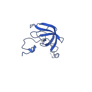 37564_8wid_m_v1-0
Cryo- EM structure of Mycobacterium smegmatis 30S ribosomal subunit (body 2) of 70S ribosome, E- tRNA and RafH.