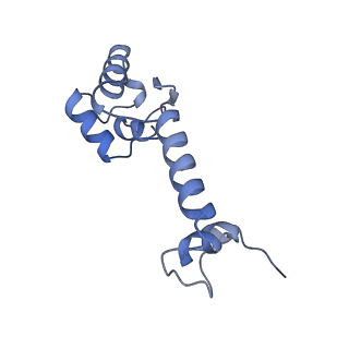 37564_8wid_n_v1-0
Cryo- EM structure of Mycobacterium smegmatis 30S ribosomal subunit (body 2) of 70S ribosome, E- tRNA and RafH.