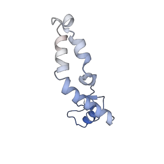 37564_8wid_o_v1-0
Cryo- EM structure of Mycobacterium smegmatis 30S ribosomal subunit (body 2) of 70S ribosome, E- tRNA and RafH.