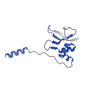 37564_8wid_q_v1-0
Cryo- EM structure of Mycobacterium smegmatis 30S ribosomal subunit (body 2) of 70S ribosome, E- tRNA and RafH.