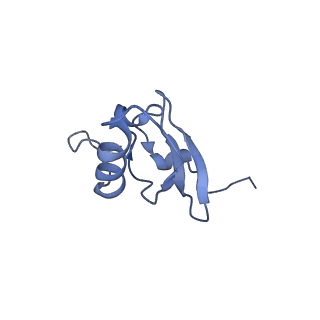 37564_8wid_t_v1-0
Cryo- EM structure of Mycobacterium smegmatis 30S ribosomal subunit (body 2) of 70S ribosome, E- tRNA and RafH.