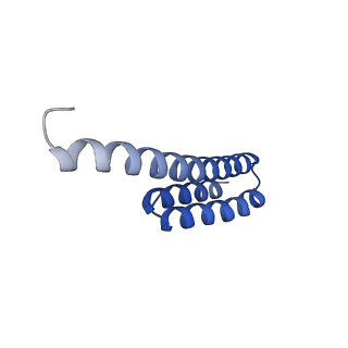 37564_8wid_u_v1-0
Cryo- EM structure of Mycobacterium smegmatis 30S ribosomal subunit (body 2) of 70S ribosome, E- tRNA and RafH.
