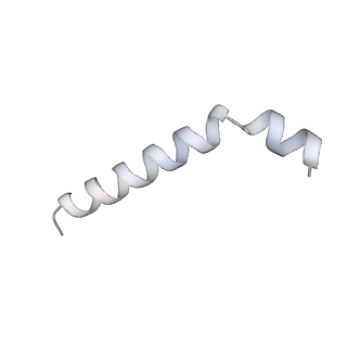 37564_8wid_v_v1-0
Cryo- EM structure of Mycobacterium smegmatis 30S ribosomal subunit (body 2) of 70S ribosome, E- tRNA and RafH.