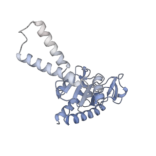 37565_8wif_c_v1-0
Cryo- EM structure of Mycobacterium smegmatis 30S ribosomal subunit (body 2) of 70S ribosome and RafH.