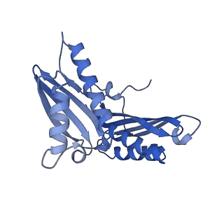 37565_8wif_d_v1-0
Cryo- EM structure of Mycobacterium smegmatis 30S ribosomal subunit (body 2) of 70S ribosome and RafH.
