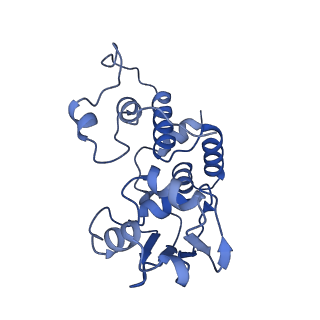 37565_8wif_e_v1-0
Cryo- EM structure of Mycobacterium smegmatis 30S ribosomal subunit (body 2) of 70S ribosome and RafH.