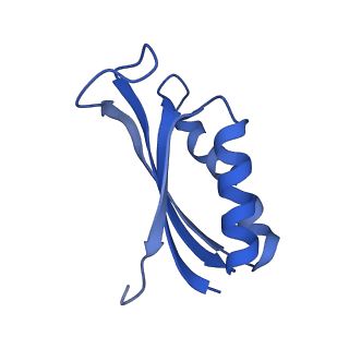 37565_8wif_g_v1-0
Cryo- EM structure of Mycobacterium smegmatis 30S ribosomal subunit (body 2) of 70S ribosome and RafH.