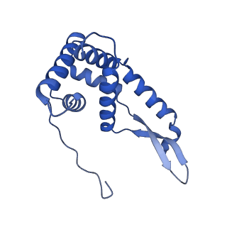 37565_8wif_h_v1-0
Cryo- EM structure of Mycobacterium smegmatis 30S ribosomal subunit (body 2) of 70S ribosome and RafH.