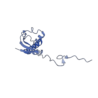 37565_8wif_j_v1-0
Cryo- EM structure of Mycobacterium smegmatis 30S ribosomal subunit (body 2) of 70S ribosome and RafH.