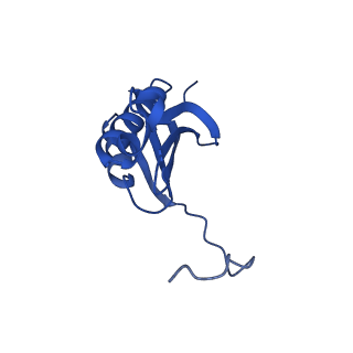 37565_8wif_l_v1-0
Cryo- EM structure of Mycobacterium smegmatis 30S ribosomal subunit (body 2) of 70S ribosome and RafH.