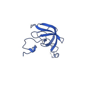 37565_8wif_m_v1-0
Cryo- EM structure of Mycobacterium smegmatis 30S ribosomal subunit (body 2) of 70S ribosome and RafH.