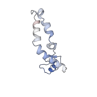 37565_8wif_o_v1-0
Cryo- EM structure of Mycobacterium smegmatis 30S ribosomal subunit (body 2) of 70S ribosome and RafH.