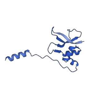 37565_8wif_q_v1-0
Cryo- EM structure of Mycobacterium smegmatis 30S ribosomal subunit (body 2) of 70S ribosome and RafH.