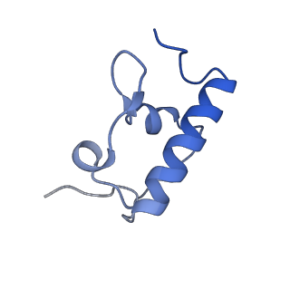 37565_8wif_s_v1-0
Cryo- EM structure of Mycobacterium smegmatis 30S ribosomal subunit (body 2) of 70S ribosome and RafH.