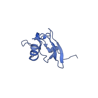 37565_8wif_t_v1-0
Cryo- EM structure of Mycobacterium smegmatis 30S ribosomal subunit (body 2) of 70S ribosome and RafH.