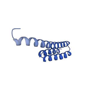 37565_8wif_u_v1-0
Cryo- EM structure of Mycobacterium smegmatis 30S ribosomal subunit (body 2) of 70S ribosome and RafH.