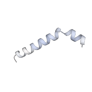 37565_8wif_v_v1-0
Cryo- EM structure of Mycobacterium smegmatis 30S ribosomal subunit (body 2) of 70S ribosome and RafH.