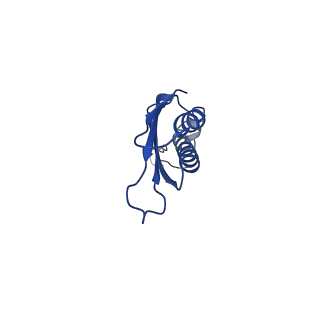 37565_8wif_w_v1-0
Cryo- EM structure of Mycobacterium smegmatis 30S ribosomal subunit (body 2) of 70S ribosome and RafH.