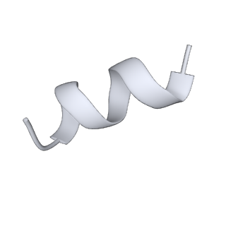 37565_8wif_x_v1-0
Cryo- EM structure of Mycobacterium smegmatis 30S ribosomal subunit (body 2) of 70S ribosome and RafH.