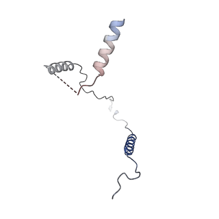 21686_6wj2_A_v1-3
CryoEM structure of the SLC38A9-RagA-RagC-Ragulator complex in the pre-GAP state