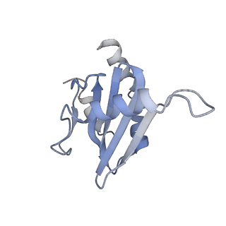 21686_6wj2_C_v1-3
CryoEM structure of the SLC38A9-RagA-RagC-Ragulator complex in the pre-GAP state