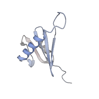 21686_6wj2_D_v1-3
CryoEM structure of the SLC38A9-RagA-RagC-Ragulator complex in the pre-GAP state