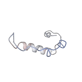 21686_6wj2_H_v1-3
CryoEM structure of the SLC38A9-RagA-RagC-Ragulator complex in the pre-GAP state