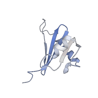 21687_6wj3_D_v1-3
CryoEM structure of the SLC38A9-RagA-RagC-Ragulator complex in the post-GAP state