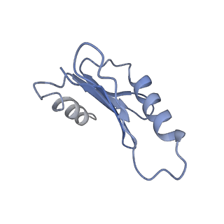 21687_6wj3_E_v1-3
CryoEM structure of the SLC38A9-RagA-RagC-Ragulator complex in the post-GAP state