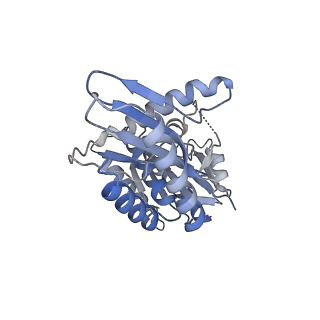 21687_6wj3_F_v1-3
CryoEM structure of the SLC38A9-RagA-RagC-Ragulator complex in the post-GAP state