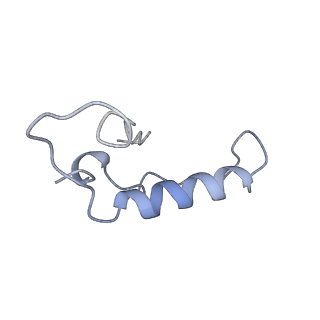 21687_6wj3_H_v1-3
CryoEM structure of the SLC38A9-RagA-RagC-Ragulator complex in the post-GAP state