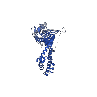 21688_6wj5_B_v1-2
Structure of human TRPA1 in complex with inhibitor GDC-0334