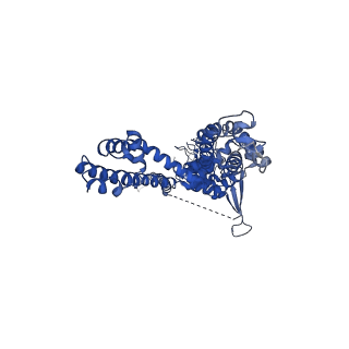21688_6wj5_C_v1-2
Structure of human TRPA1 in complex with inhibitor GDC-0334