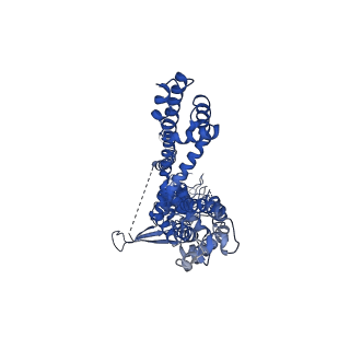 21688_6wj5_D_v1-2
Structure of human TRPA1 in complex with inhibitor GDC-0334