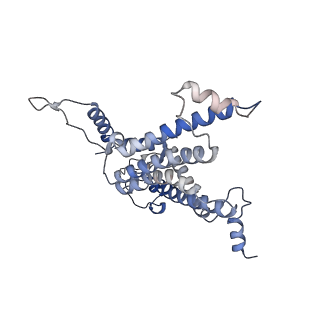 21690_6wj6_A_v2-0
Cryo-EM structure of apo-Photosystem II from Synechocystis sp. PCC 6803