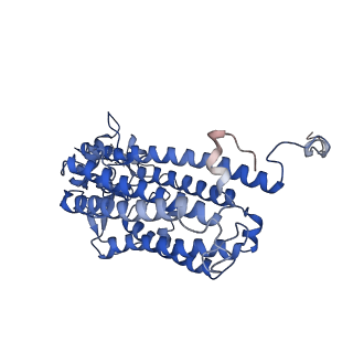 21690_6wj6_C_v2-0
Cryo-EM structure of apo-Photosystem II from Synechocystis sp. PCC 6803