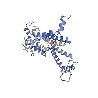 21690_6wj6_D_v2-0
Cryo-EM structure of apo-Photosystem II from Synechocystis sp. PCC 6803