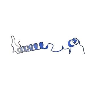 21690_6wj6_H_v2-0
Cryo-EM structure of apo-Photosystem II from Synechocystis sp. PCC 6803