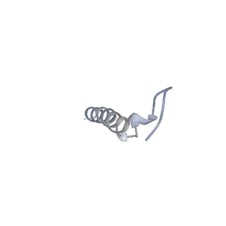 21690_6wj6_I_v2-0
Cryo-EM structure of apo-Photosystem II from Synechocystis sp. PCC 6803