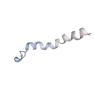 21690_6wj6_K_v2-0
Cryo-EM structure of apo-Photosystem II from Synechocystis sp. PCC 6803