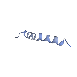 21690_6wj6_M_v2-0
Cryo-EM structure of apo-Photosystem II from Synechocystis sp. PCC 6803