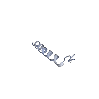 21690_6wj6_T_v2-0
Cryo-EM structure of apo-Photosystem II from Synechocystis sp. PCC 6803