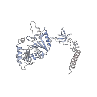 21691_6wjd_A_v1-2
SA-like state of human 26S Proteasome with non-cleavable M1-linked hexaubiquitin and E3 ubiquitin ligase E6AP/UBE3A